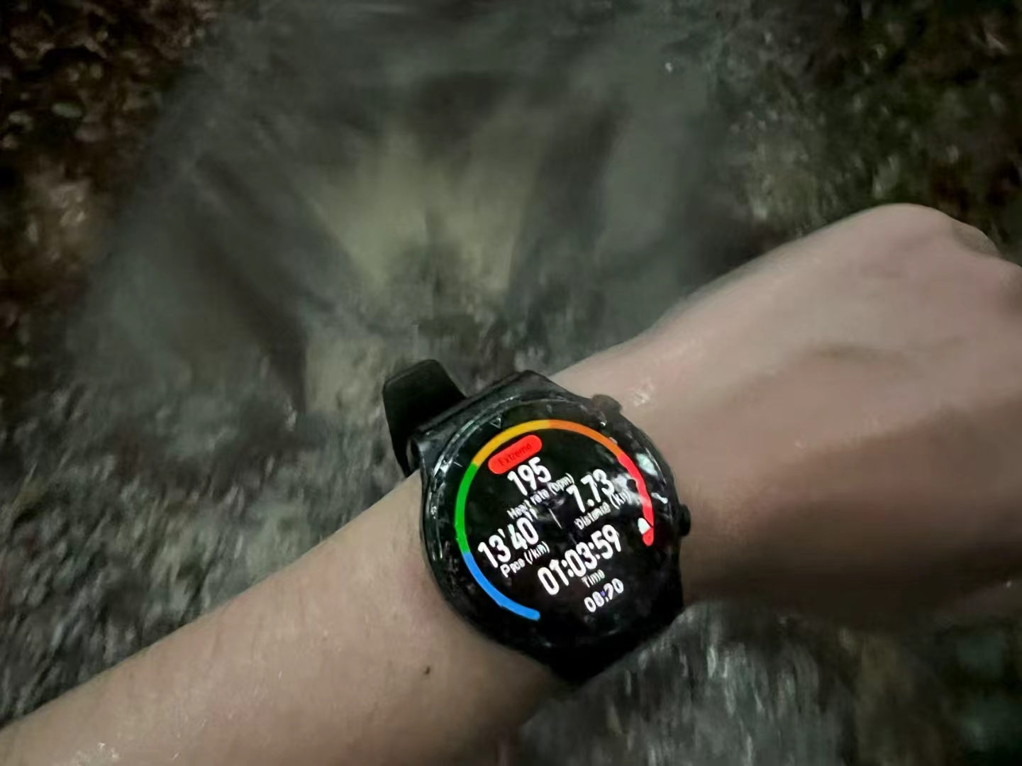 “Real” Cross Country: A 10km Trail Run